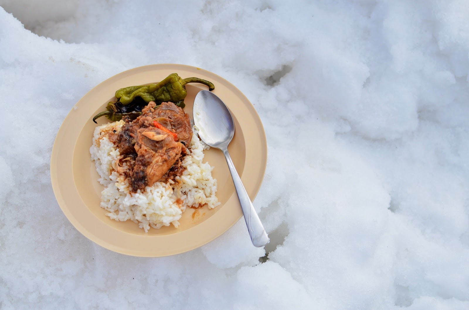 Chicken Adobo served in snow