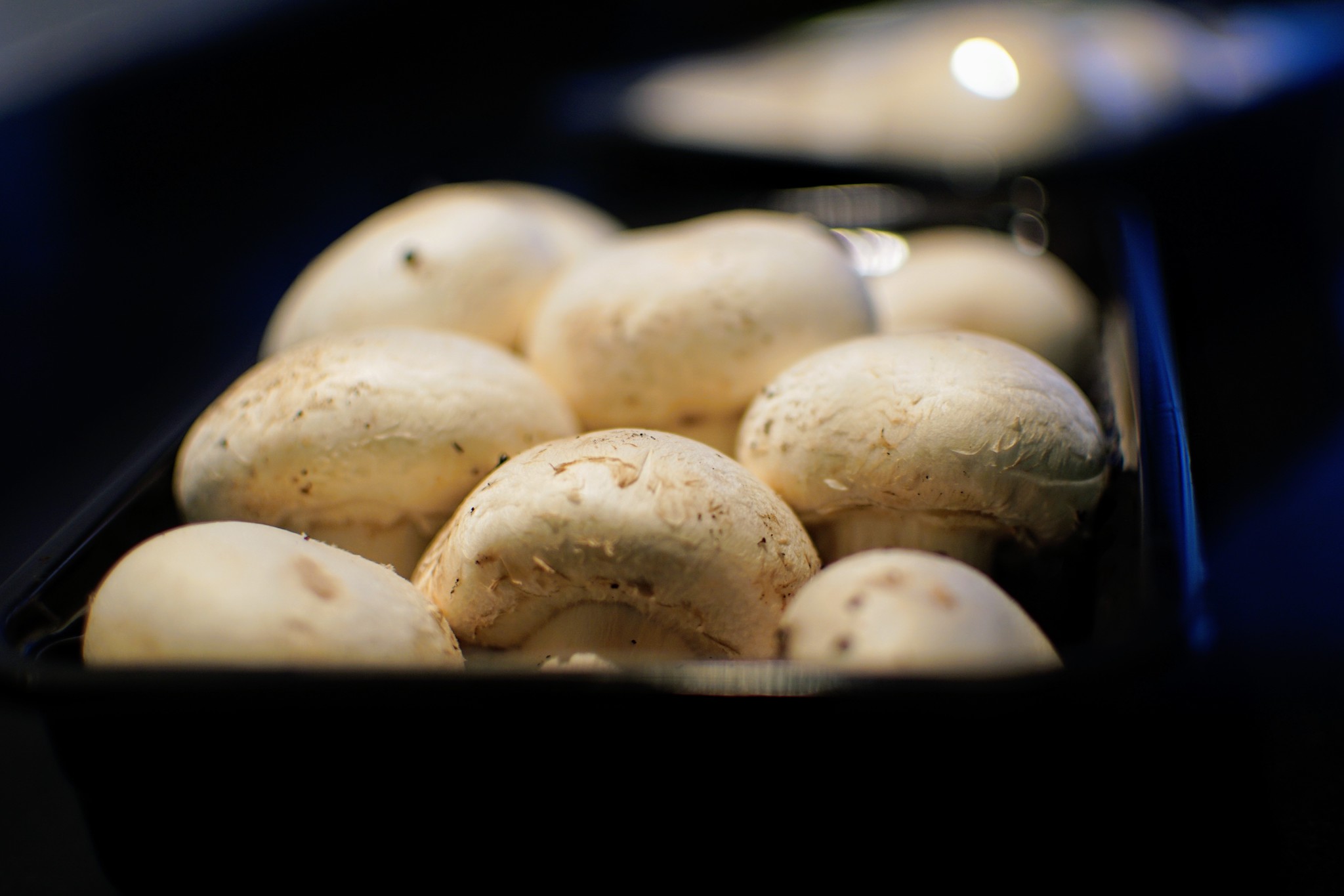 Button mushrooms in a tray